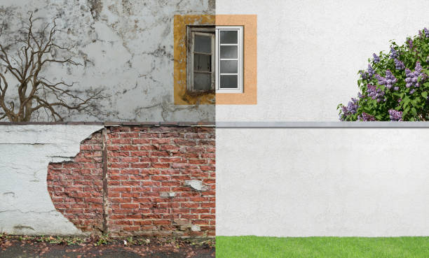 Best Mold Remediation for Healthcare Facilities  in Kinsey, AL