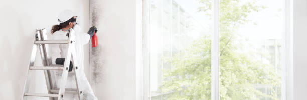 Best Water Damage & Mold Remediation  in Kinsey, AL