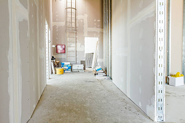 Best Real Estate Mold Inspection  in Kinsey, AL